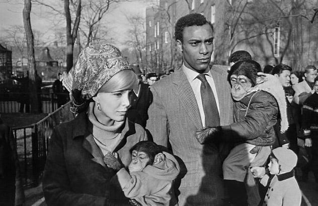 Garry Winogrand, Central Park Zoo