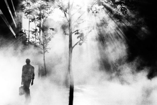 Trent Parke, Dream/Life