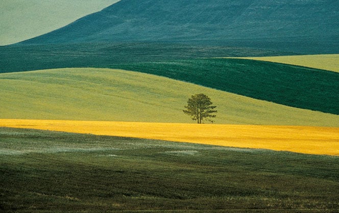 franco-fontana-quotes