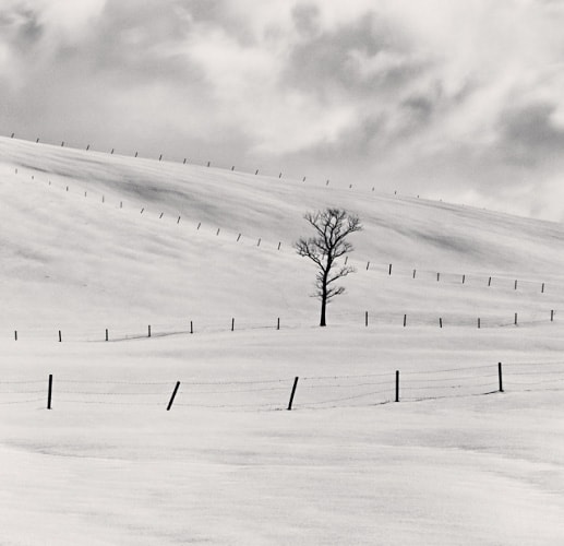 Michael Kenna, Japan