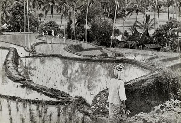 Henri Cartier-Bresson, Sumatra, Indonesia.