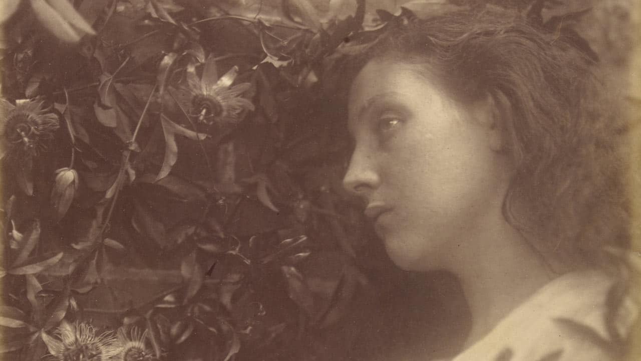 Julia margaret cameron фотографии