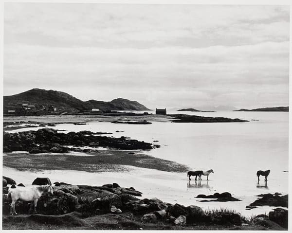 Paul Strand Photography