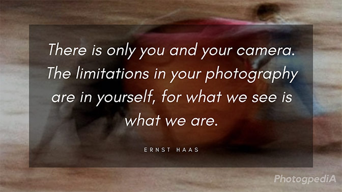 Ernst Haas Quotes 2