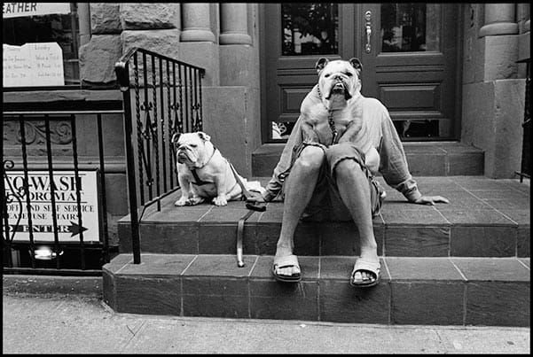 Erwitt, NYC 2000