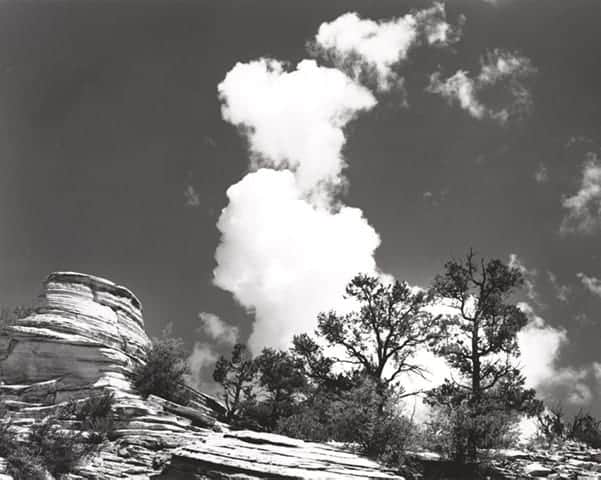 Zion National Park